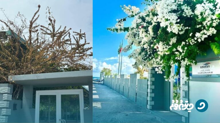 ށ. ނަރުދޫއަށް އުދައަރާތީ ރައްޔިތުން ބޮޑު ބިރުވެރިކަމެއްގައި.