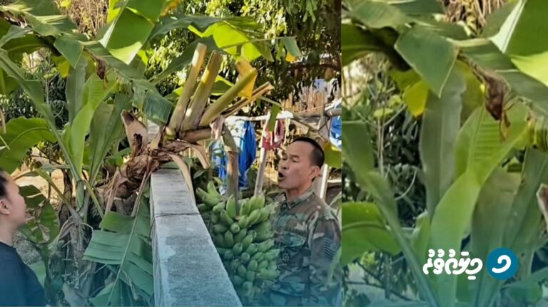 ޙަޤީޤީ ވާހަކަ: ކިތަންމެ ގާތް މީހެއްގެ ހިތްވެސް ދުނިޔޭގެ އެދުންވެރިކަމުގައި ބަދަލުވެދާނެއެވެ.