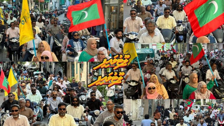 ލޫޓުވާލައިފި މުޒާހަރާގައި ބައިވެރިވުމަށްޓަކައި ދަތުރުކުރި ފްލޮޓިލާ މާލެ ބަނދަރުކޮށްފި.