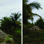 ށ. މިލަންދޫގައި މީހުން ދިރިއުޅޭ ގެއަކަށް ވަދެ...