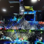 އާޓިފިޝަލް ބީޗް ސަރަހައްދު ފުރިބާރުވެފައިވާތީ ބައެއް މީހުންނަށް...