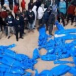 އިޒްރޭލުން ޙަވާލުކުރި ފަލަސްޠީނު މީހުންގެ ހަށިތައް ވަނީ...