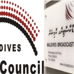 ޖުމްލަ 39 މީޑިޔާއަކަށް ފައިސާ ދޭން ނިންމައިފި