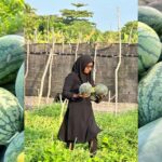 ދަނޑުވެރިކަމާ ބެހޭ ކުންފުންޏަށް ނުވިޔަސް، ށ. ގޮއިދޫގެ...