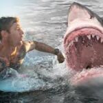 ފަތުރުވެރިއަކަށް މިޔަރެއް ހަމަލާދިނުމުގެ ސަބަބުން ފައި ބުރިކޮށްލަން...