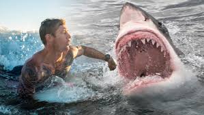 ފަތުރުވެރިއަކަށް މިޔަރެއް ހަމަލާދިނުމުގެ ސަބަބުން ފައި ބުރިކޮށްލަން ޖެހިއްޖެ.