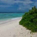 ހދ. ކުނބުރުދުއަކީ ބަންޑާރަ ކުނިގޮނޑަށް ހަދަން އުޅޭތީ...
