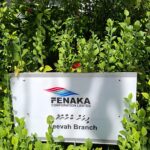 ދެ އިރު ކާ ބޭހެއް ގޮތަށް ފީވަކުން...